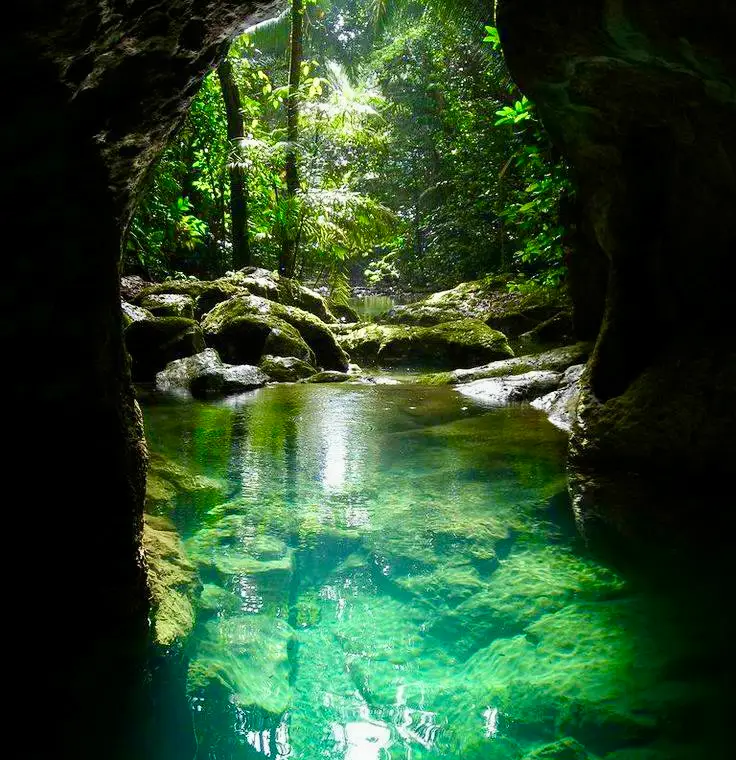 A cave exit with clear water at the bottom and mossy rocks and green, tropical trees.