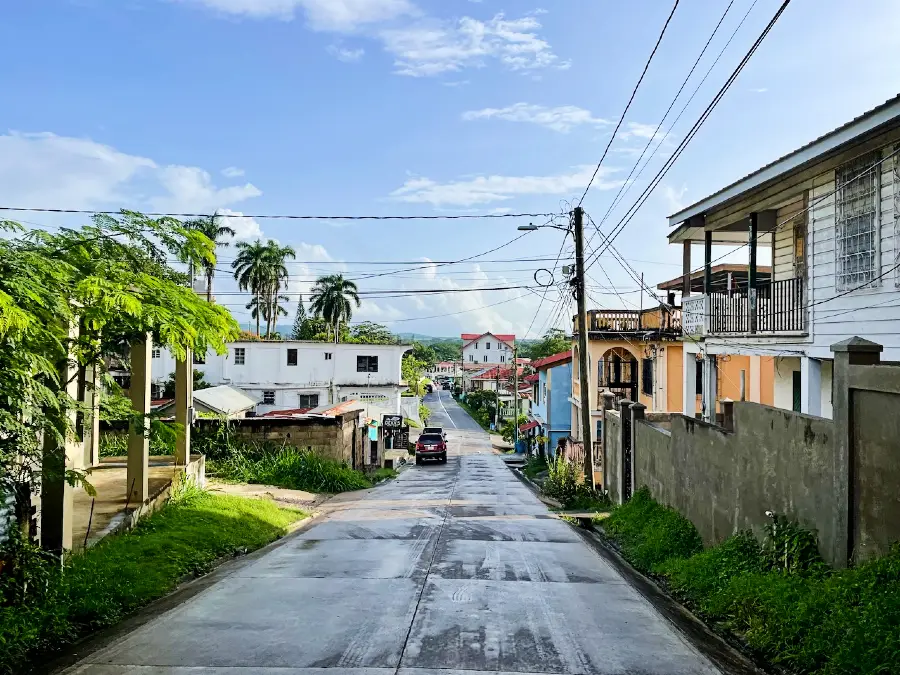 A Belize main road with houses on both sides, some trees and pole electrical lines.
