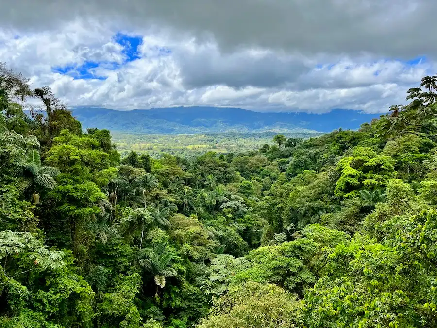 A view from above of a Costa Rica lush, green rainforest.