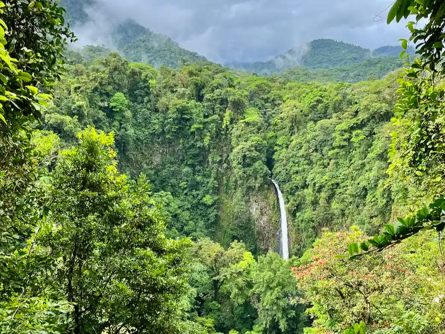 A lush, green forest surrounded with a waterfall falling out of a mountain from far away.