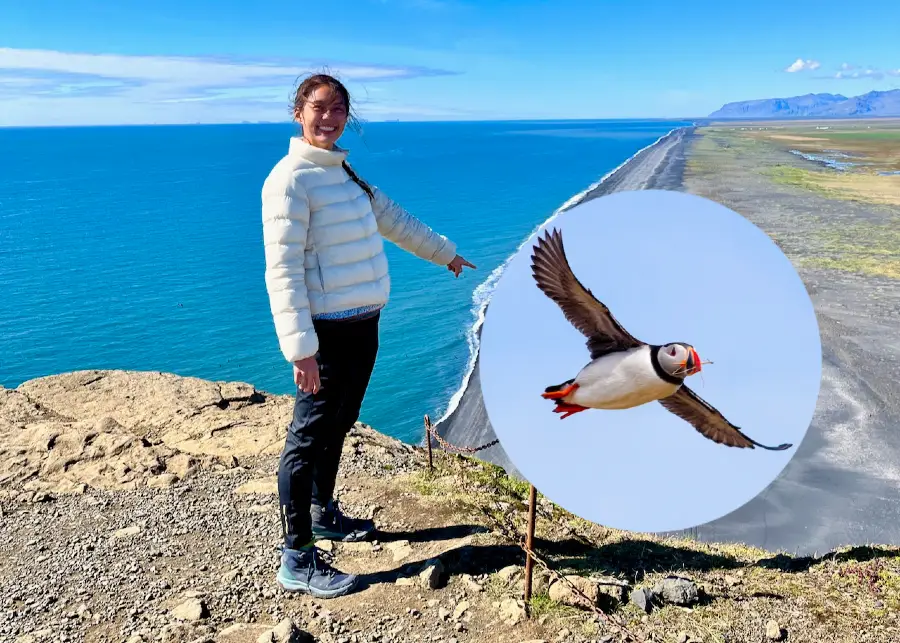 The blog author pointing down at a cliff, with a big, flying puffin photoshopped in.