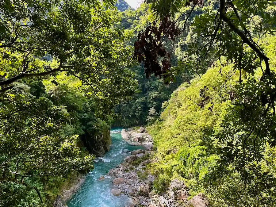 A blue river crossing through a tree-heavy forest.