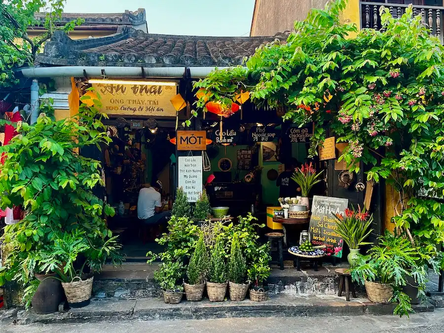 A shop decorated with different plants and lanterns.