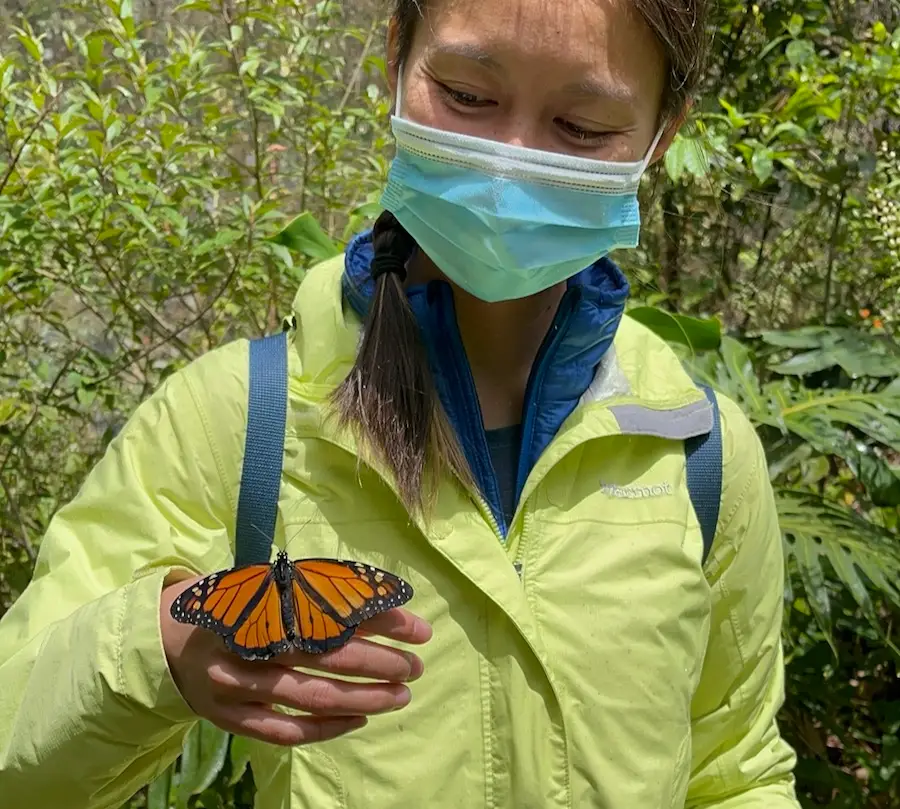 The blog author holding a monarch butterfly.