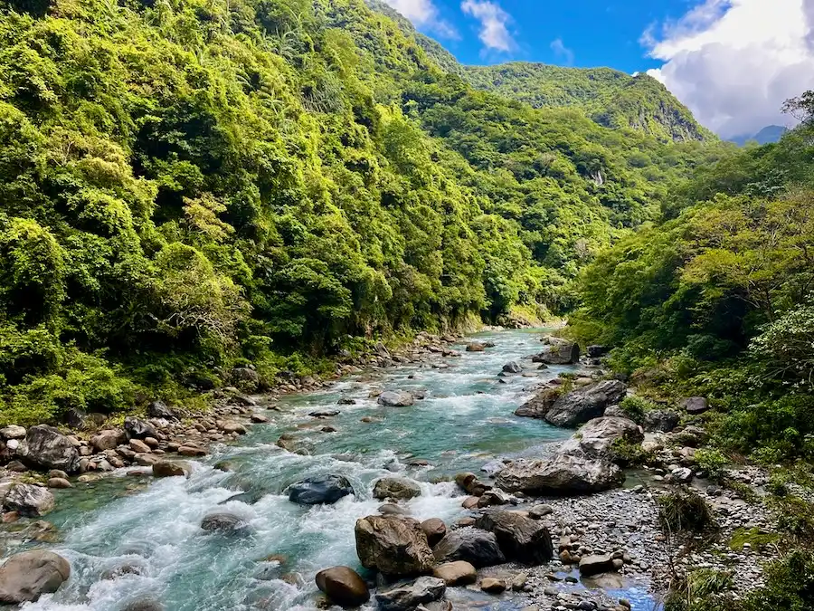 A blue river with gray stones running between lush, green trees.