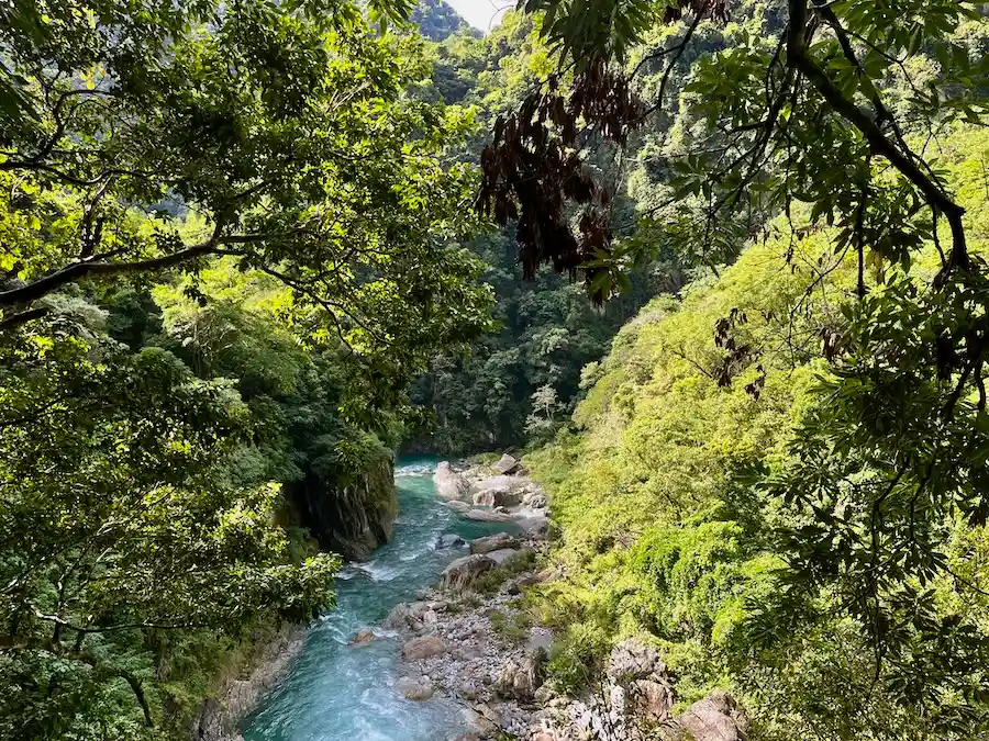 A blue river with gray stones running between lush, green trees.