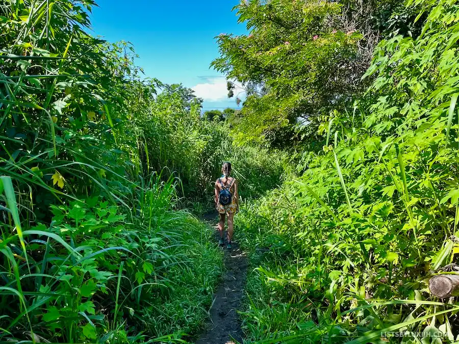 A woman hiking on a narrow dirt road surrounded by grass and trees.