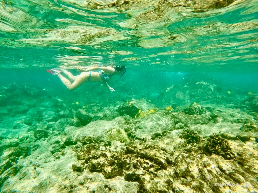 A woman snorkeling in the ocean and looking for fish.