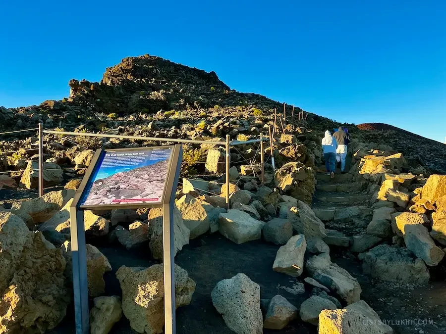 A sign about a trail with the trail starting with some steps beside it.