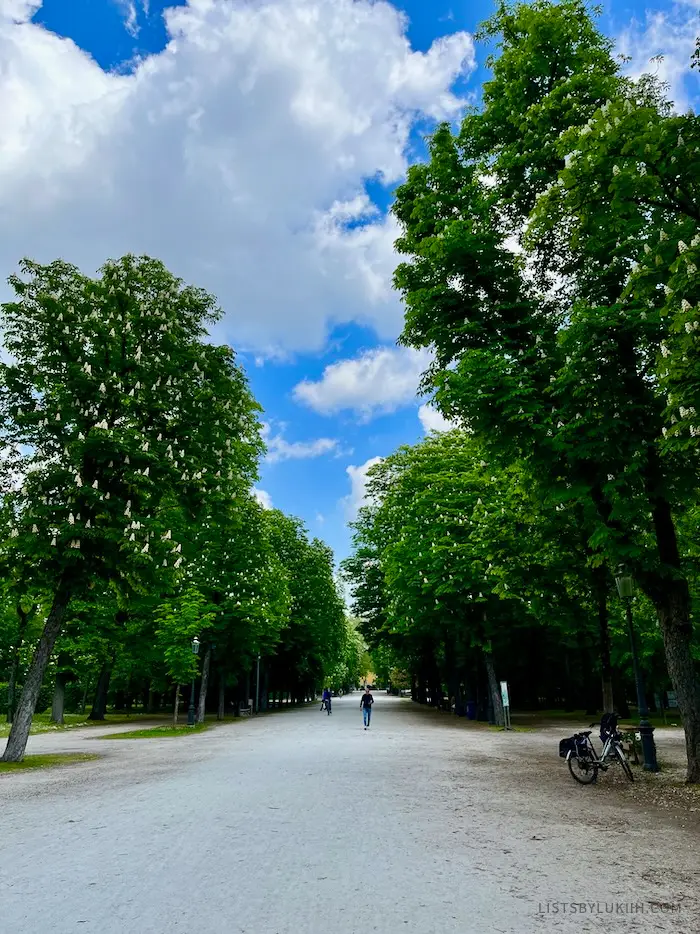 A quiet, pedestrian-friendly walkway in a park surrounded by trees.