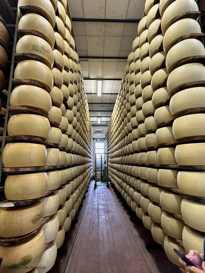 A room full stack of round barrels of cheese.