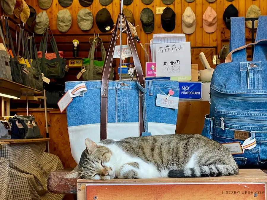 A cat resting in front of a store front selling bags.