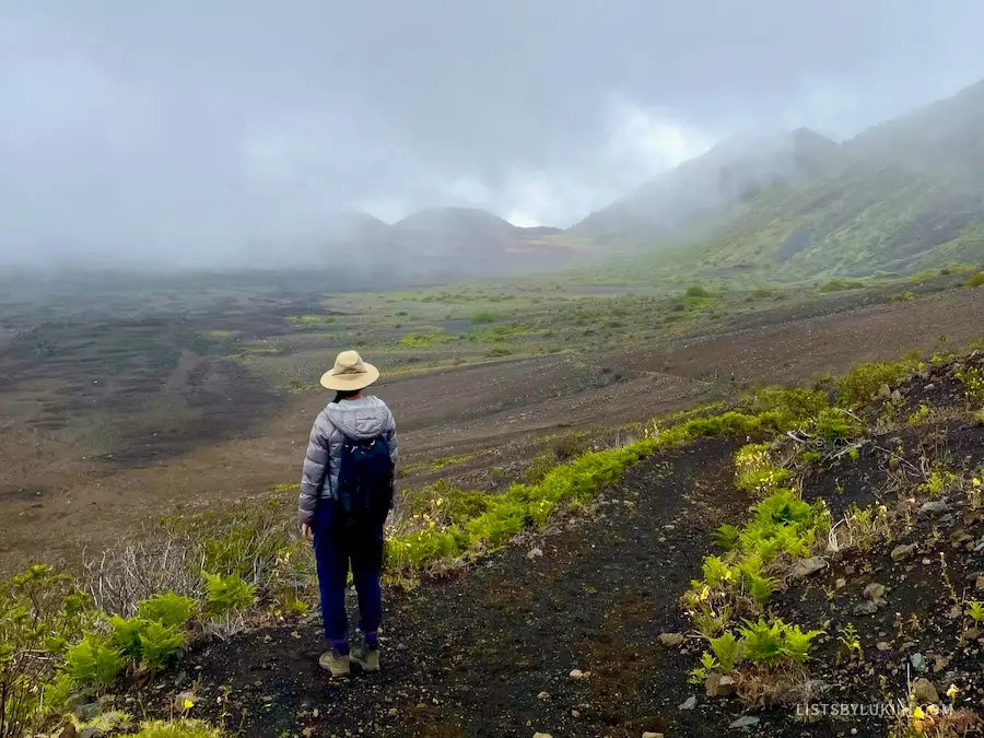 A woman wearing hiking clothes stares out at a volcanic view with some greenery.