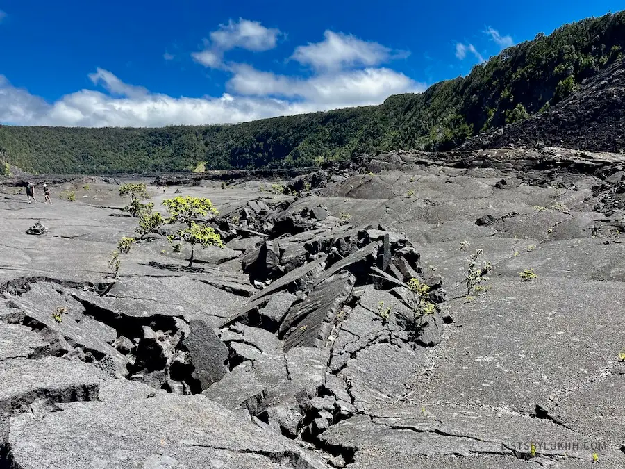 An open volcanic floor with cracked lava rock.