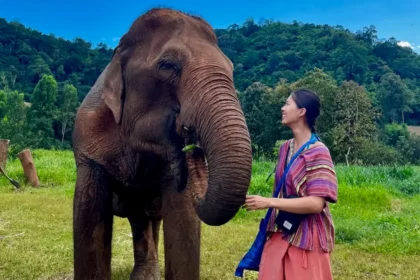 A woman wearing colorful clothes standing next to an elephant putting foods in its mouth.