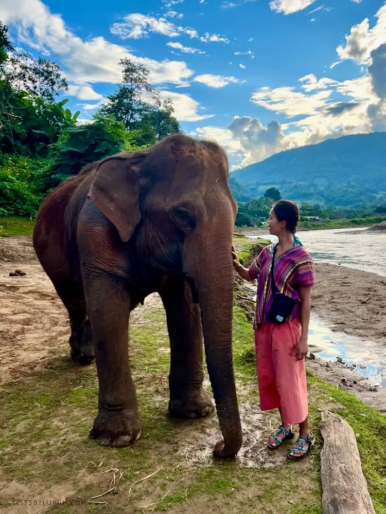 A woman wearing colorful clothes standing next to an elephant near a muddy river.