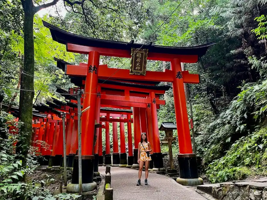 A woman standing in front of many red-colored Shinto shrines stacked near each other.