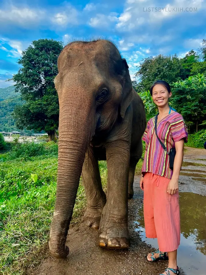 A woman standing next to an elephant in a lush area.