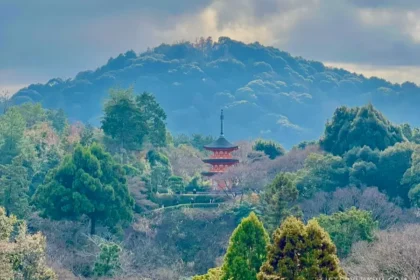 A red temple peeking out of a lush forest of green trees.