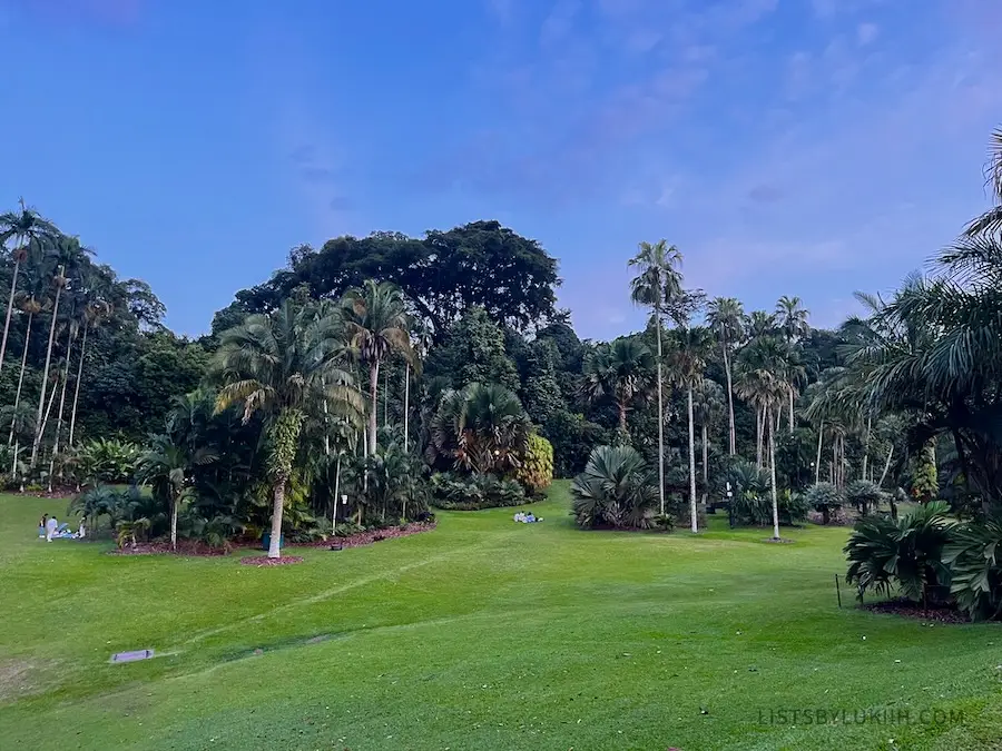 A wide open park with lush trees and grass.