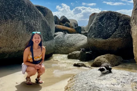 A person standing on a beach next to a penguin resting on a boulder.