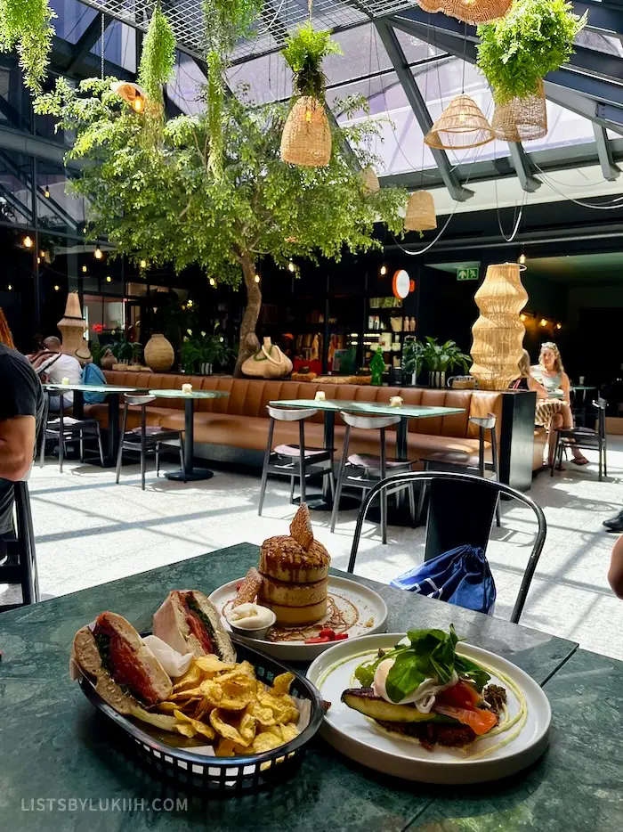 A plate of brunch food in a brightly-lit restaurant decorated with plants.