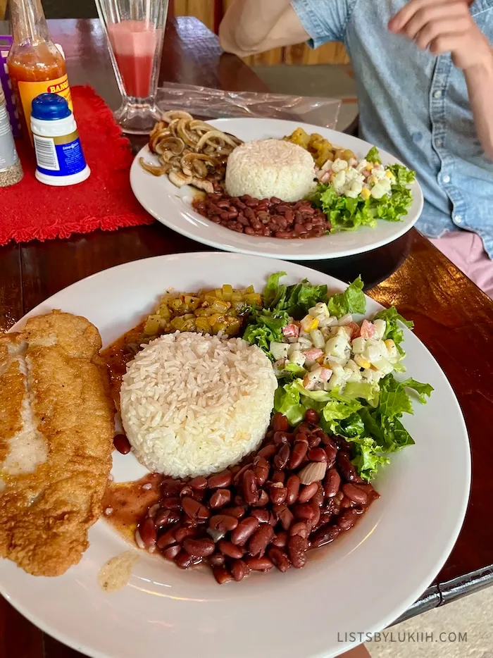 Two plates with rice, beans, a protein and salad.