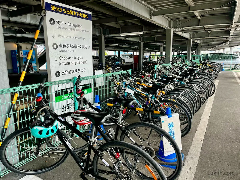 A set of bicycles for rent.