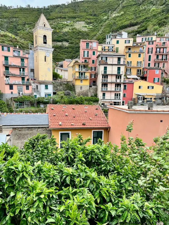 Colorful buildings surrounded by lush moutanin.