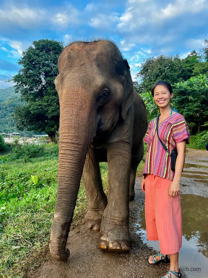 A woman wearing colorful clothes standing next to an elephant in a muddy trail.