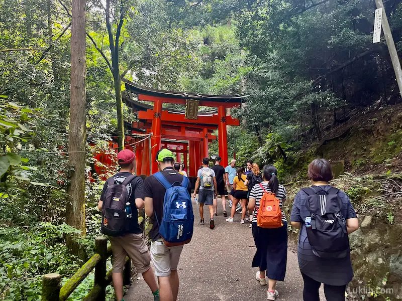 A crowded path with red torii gates.