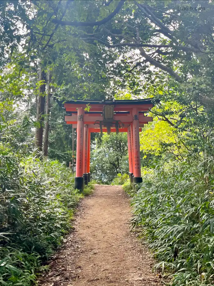 A dirt trail leading to a set of red gates.