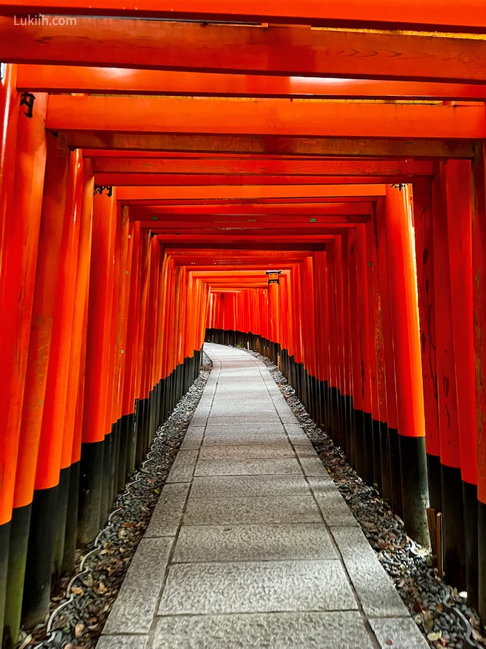 A paved path surrounded by red gates with Japanese symbols on it.