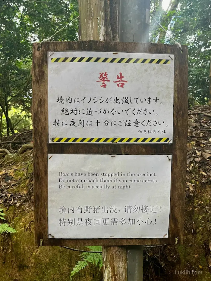 A sign warning of boars.