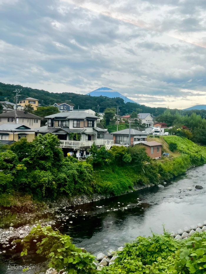 A set of houses next to a river with a mountain peak in the background.