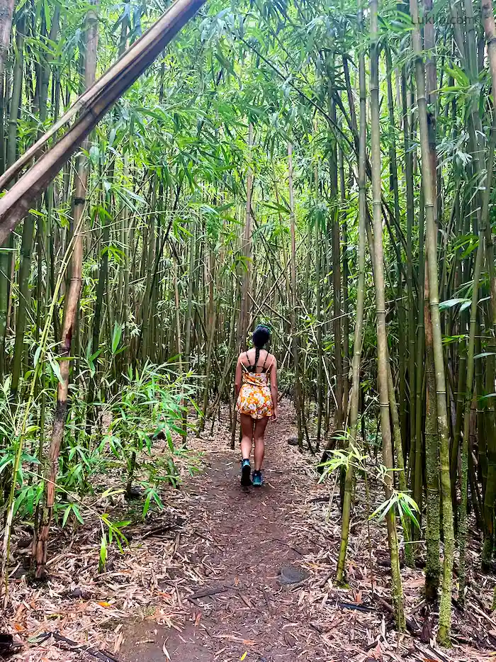 A woman walking on a dirt path surrounded by bamboo