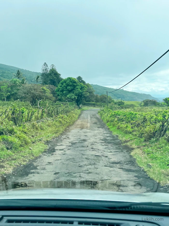 A narrow paved road with holes and cracks, surrounded by nature.