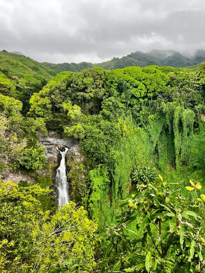 A waterfall surrounded by lush green trees.
