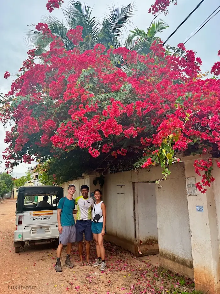 Three people standing near each other under a tree with pink flowers.