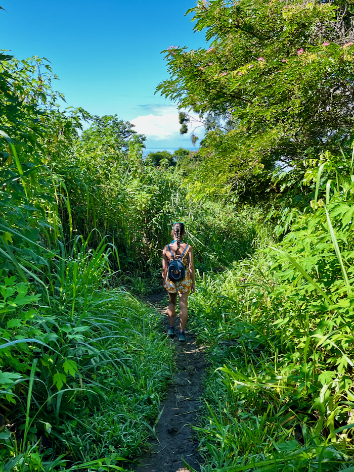 A woman hiking on a narrow dirt road surrounded by grass and trees.