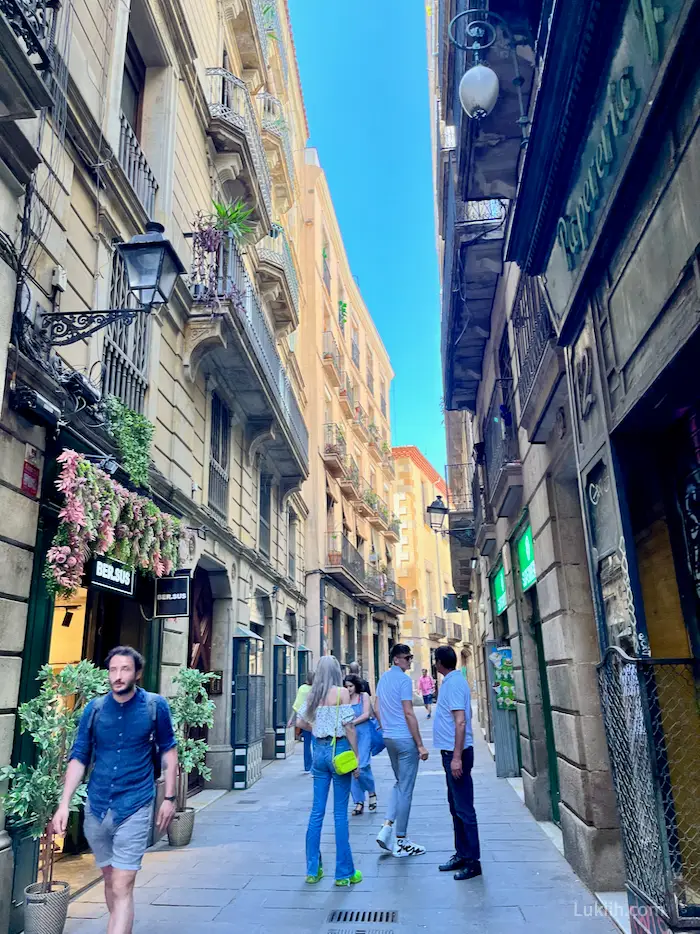 A European alleyway street with balconies decorated with plants.