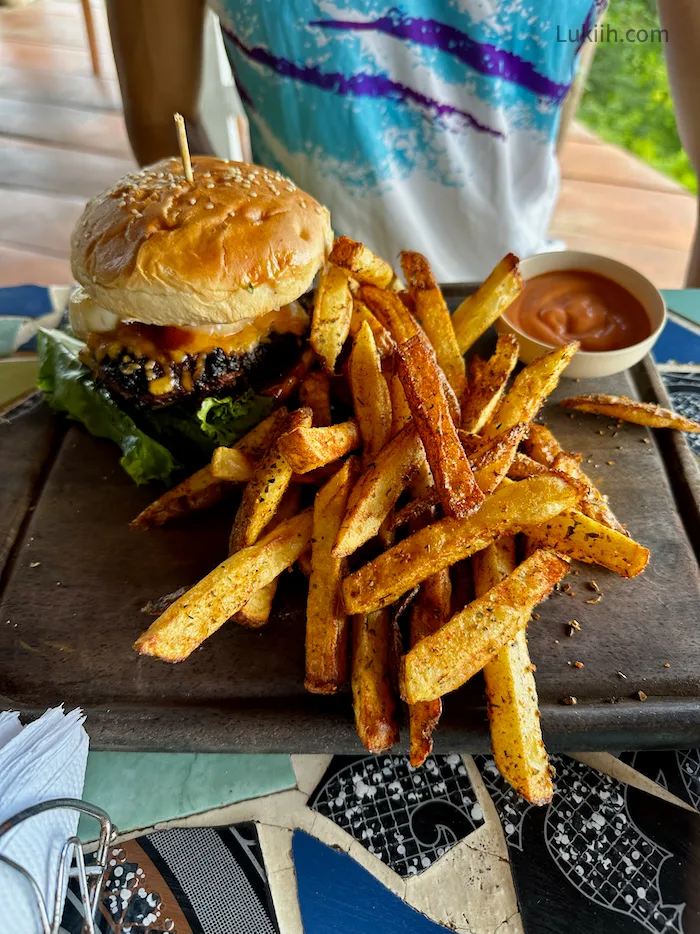 A big plate of french fries and burger.