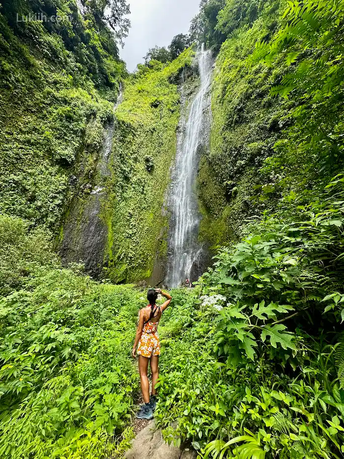 A woman in a rainforest looking up at a tall waterfall.