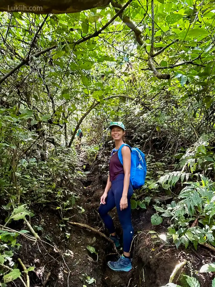 A hiker in a narrow trail surrounded by rainforest.