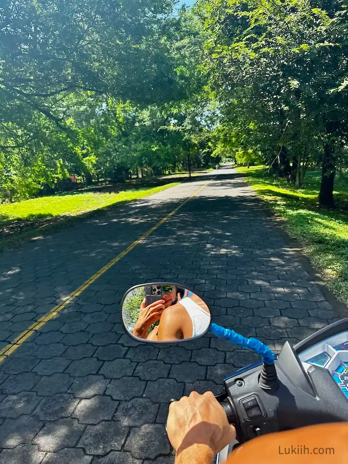 A paved road surrounded by trees, taken by someone sitting on a scooter.