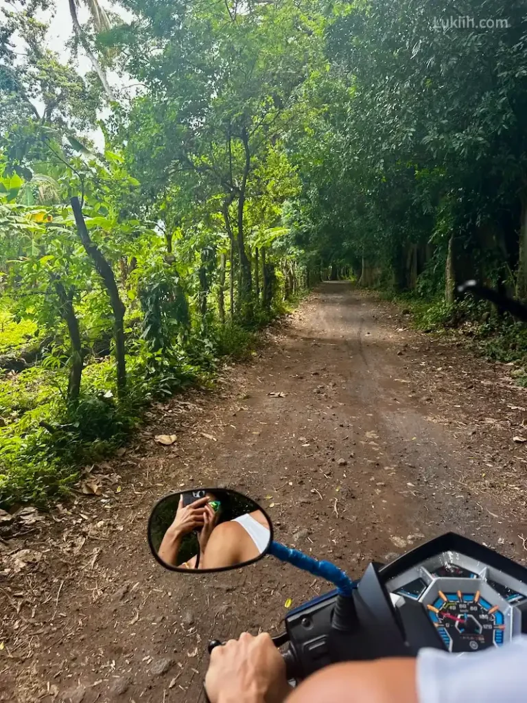 A motorbike riding over a dirt road flanked with trees.