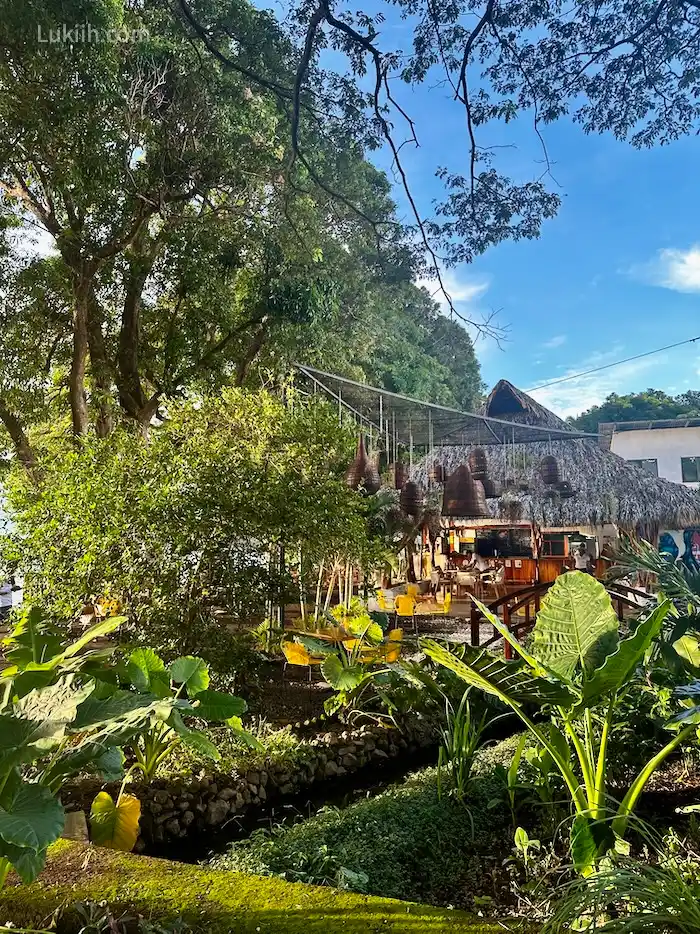 An open-air area surrounded by lush plants.