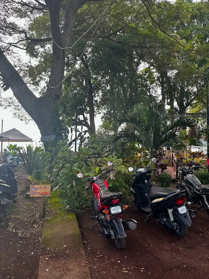 An area in nature with motorcycles parked.