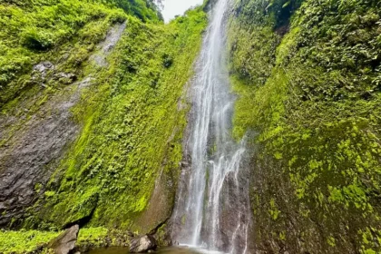 A tall waterfall surrounded by lush rainforest.