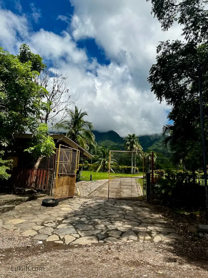 A gate entrance leading to a lush rainforest mountain.